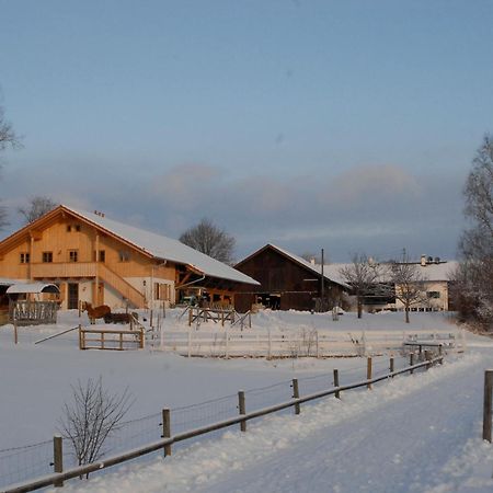 Hotel Zweilindenhof à Seeshaupt Extérieur photo