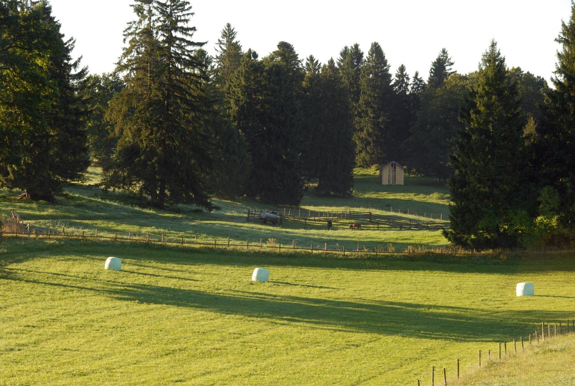 Hotel Zweilindenhof à Seeshaupt Extérieur photo