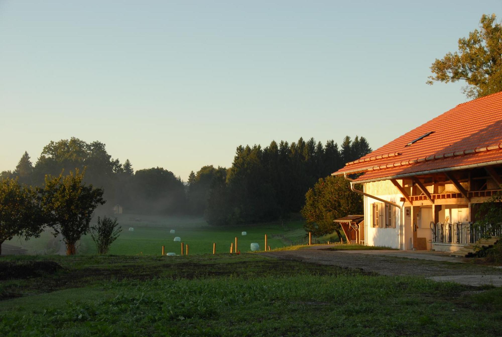 Hotel Zweilindenhof à Seeshaupt Extérieur photo