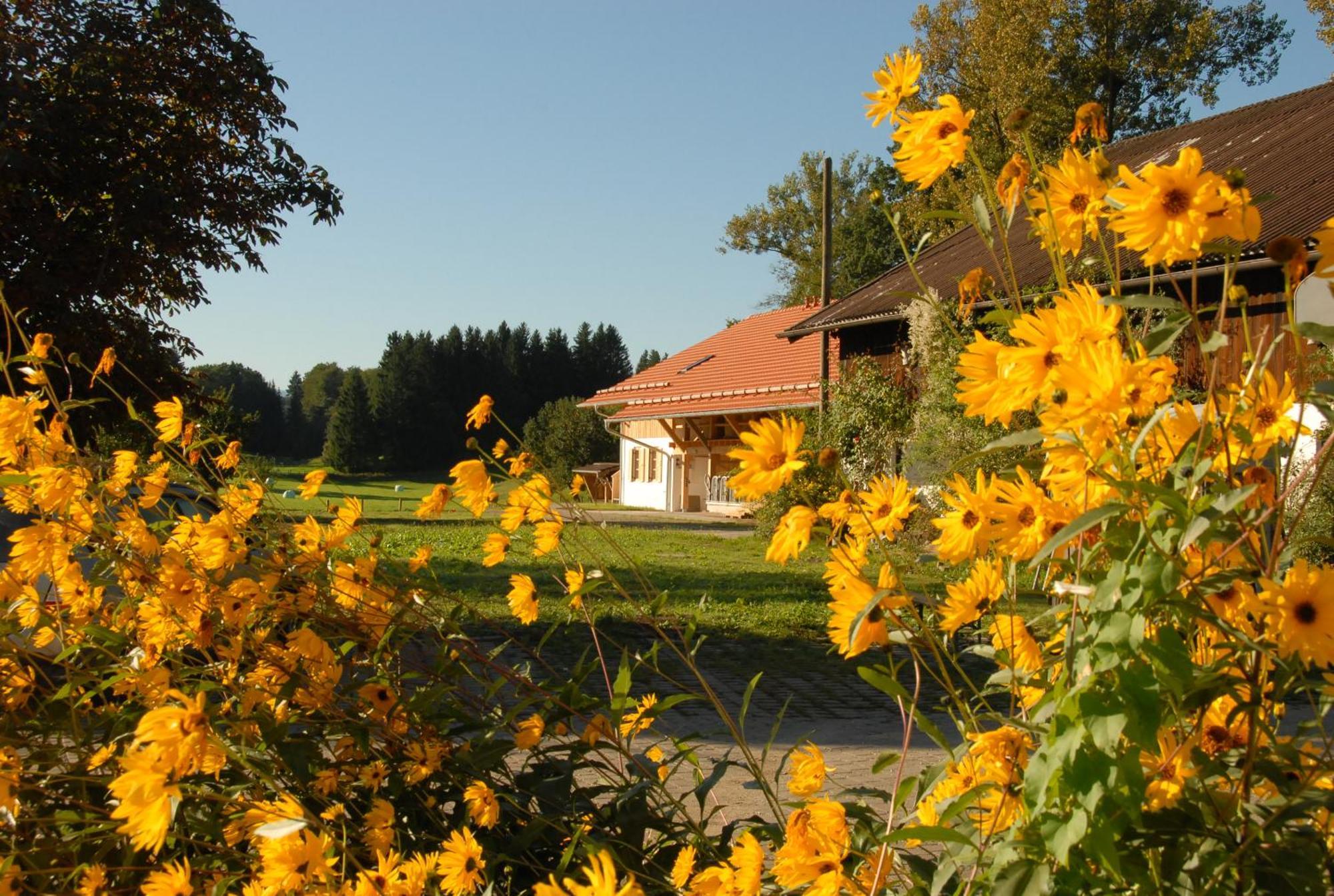 Hotel Zweilindenhof à Seeshaupt Extérieur photo